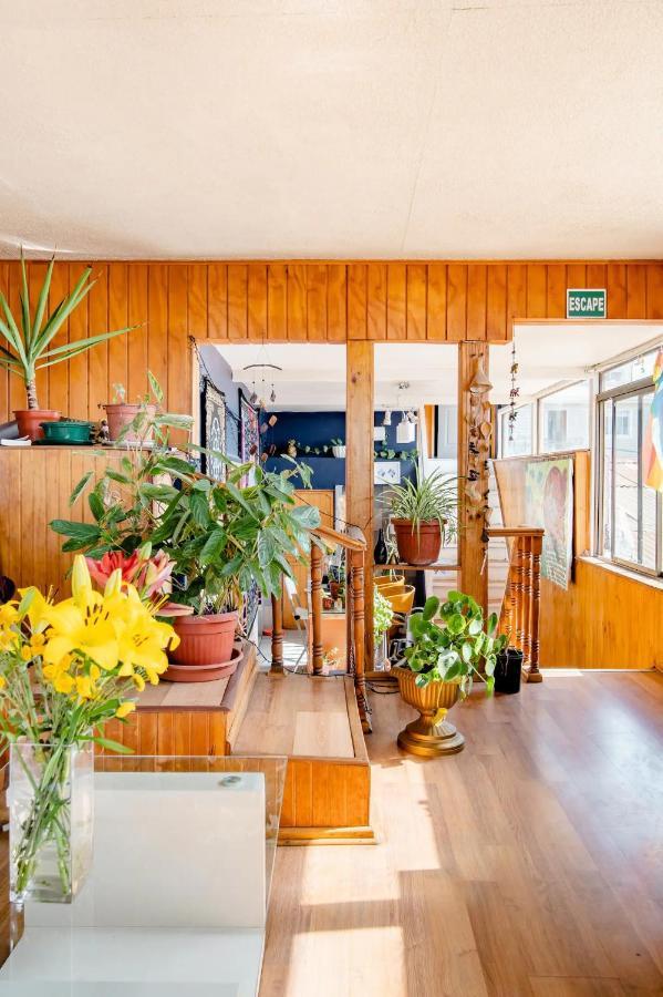 Casa Altavista Valparaíso